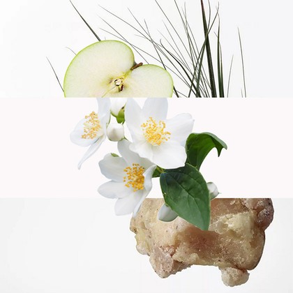 Fig Breeze